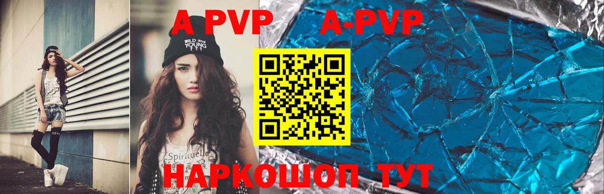 Alfa_PVP СК Новозыбков