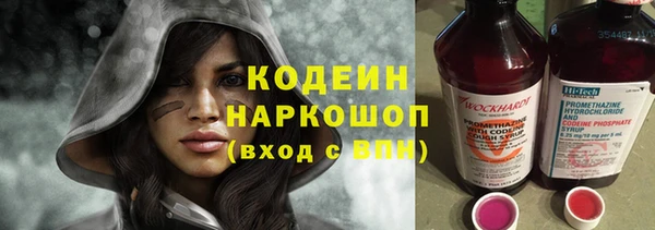 хмурый Новозыбков