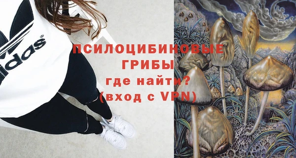сатива Новодвинск