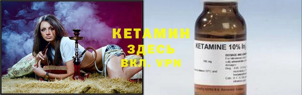 сатива Новодвинск