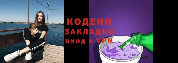 хмурый Новозыбков
