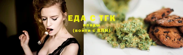 сатива Новодвинск