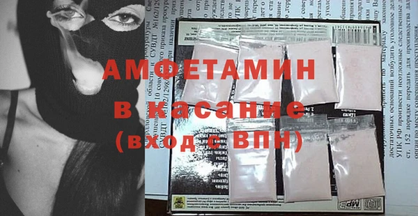 сатива Новодвинск