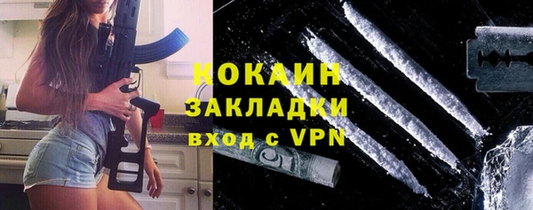 хмурый Новозыбков