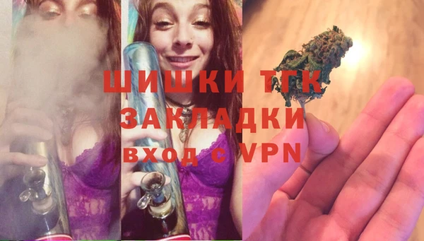 хмурый Новозыбков