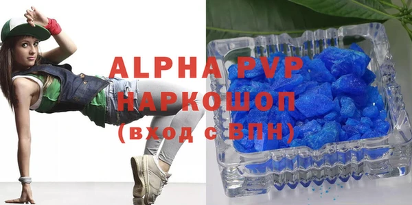 сатива Новодвинск