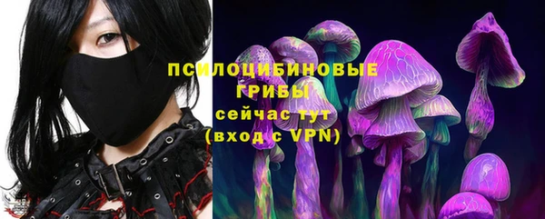 хмурый Новозыбков
