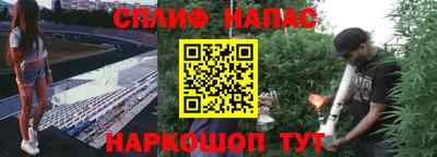 мдпв Заводоуковск