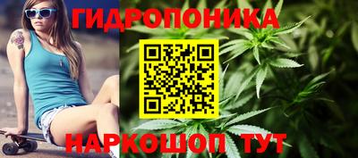 крисы Заволжье