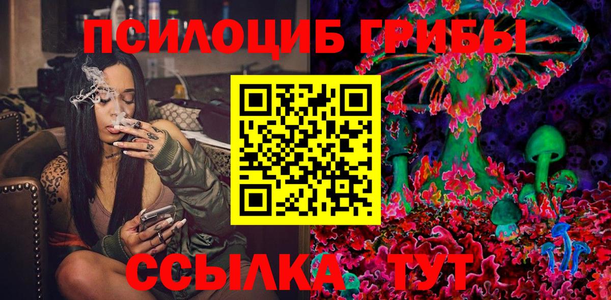 Новозыбков  Псилоцибиновые грибы Psilocybine cubensis  Вход с VPN 