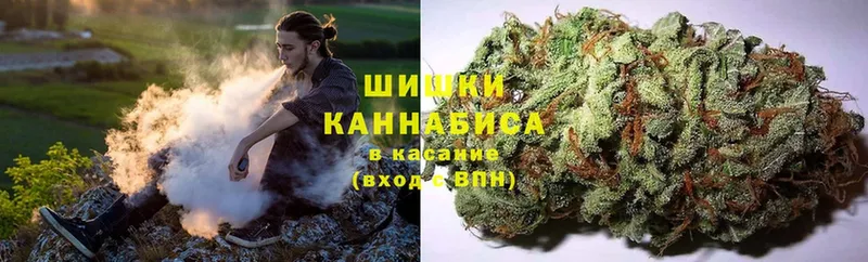 Марихуана White Widow  Новозыбков 